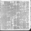 Cork Weekly Examiner Saturday 03 February 1900 Page 4