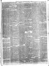 Greenwich and Deptford Observer Saturday 18 March 1882 Page 5