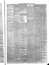 Wrexham Guardian and Denbighshire and Flintshire Advertiser Saturday 26 July 1879 Page 6