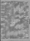 Marlborough Times Saturday 29 October 1859 Page 3