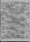 Marlborough Times Saturday 14 April 1860 Page 3