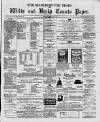 Marlborough Times Saturday 20 January 1877 Page 1