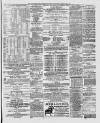 Marlborough Times Saturday 05 May 1877 Page 6