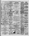 Marlborough Times Saturday 03 November 1877 Page 6