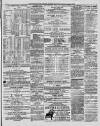 Marlborough Times Saturday 29 December 1877 Page 3