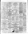 Marlborough Times Saturday 02 March 1878 Page 7