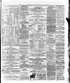 Marlborough Times Saturday 16 March 1878 Page 6
