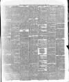 Marlborough Times Saturday 11 May 1878 Page 3