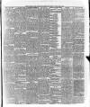 Marlborough Times Saturday 06 July 1878 Page 3