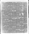 Marlborough Times Saturday 12 October 1878 Page 3