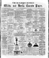 Marlborough Times Saturday 02 November 1878 Page 1