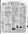 Marlborough Times Saturday 07 December 1878 Page 1