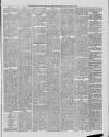 Marlborough Times Saturday 24 January 1880 Page 5