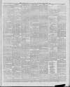 Marlborough Times Saturday 31 January 1880 Page 3
