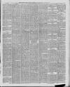 Marlborough Times Saturday 31 January 1880 Page 5