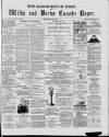 Marlborough Times Saturday 20 March 1880 Page 1