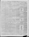 Marlborough Times Saturday 20 March 1880 Page 3