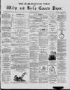 Marlborough Times Saturday 08 May 1880 Page 1