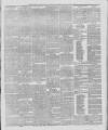 Marlborough Times Saturday 21 August 1880 Page 3