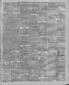 Marlborough Times Saturday 18 March 1882 Page 5