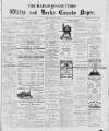 Marlborough Times Saturday 30 December 1882 Page 1