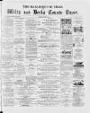 Marlborough Times Saturday 01 March 1884 Page 1