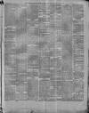 Marlborough Times Saturday 21 March 1885 Page 5