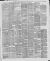 Marlborough Times Saturday 29 March 1890 Page 3