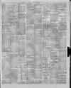 Stalybridge Reporter Saturday 06 June 1874 Page 6