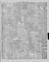 Stalybridge Reporter Saturday 27 June 1874 Page 3