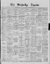 Stalybridge Reporter Saturday 04 July 1874 Page 1