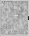 Stalybridge Reporter Saturday 31 October 1874 Page 3