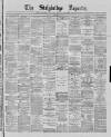 Stalybridge Reporter Saturday 13 February 1875 Page 1