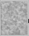 Stalybridge Reporter Saturday 13 February 1875 Page 7
