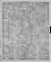 Stalybridge Reporter Saturday 27 February 1875 Page 3