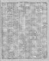 Stalybridge Reporter Saturday 20 November 1875 Page 3