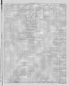 Stalybridge Reporter Saturday 01 January 1876 Page 7