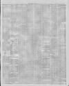 Stalybridge Reporter Saturday 29 April 1876 Page 3