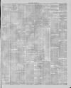 Stalybridge Reporter Saturday 29 April 1876 Page 5