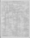 Stalybridge Reporter Saturday 29 July 1876 Page 7