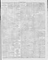 Stalybridge Reporter Saturday 03 March 1877 Page 2