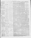 Stalybridge Reporter Saturday 03 March 1877 Page 6