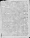 Stalybridge Reporter Saturday 03 January 1880 Page 7