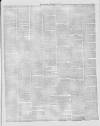 Stalybridge Reporter Saturday 01 May 1880 Page 3