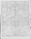 Stalybridge Reporter Saturday 22 January 1881 Page 3