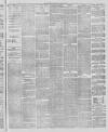 Stalybridge Reporter Saturday 01 April 1882 Page 4