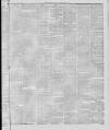 Stalybridge Reporter Saturday 03 January 1885 Page 3