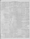 Stalybridge Reporter Saturday 25 July 1885 Page 5