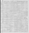 Stalybridge Reporter Saturday 02 January 1886 Page 3