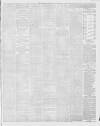 Stalybridge Reporter Saturday 20 April 1889 Page 3